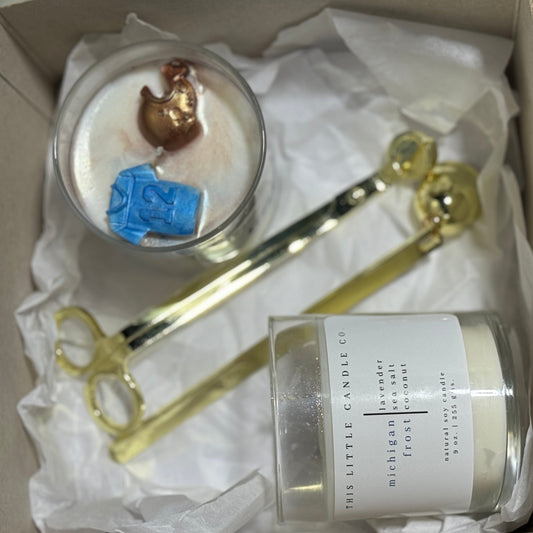 Made in Michigan Set